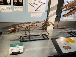 足寄動物化石博物館のクチコミ写真1