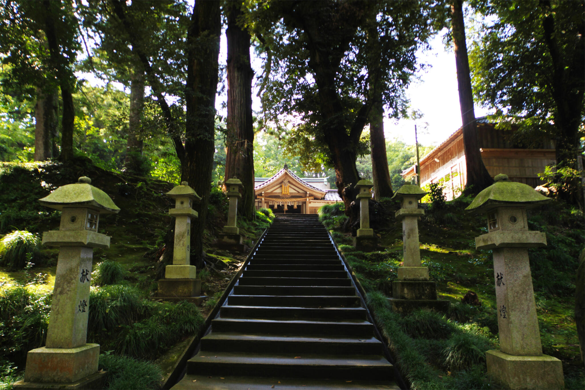 気多神社の代表写真7