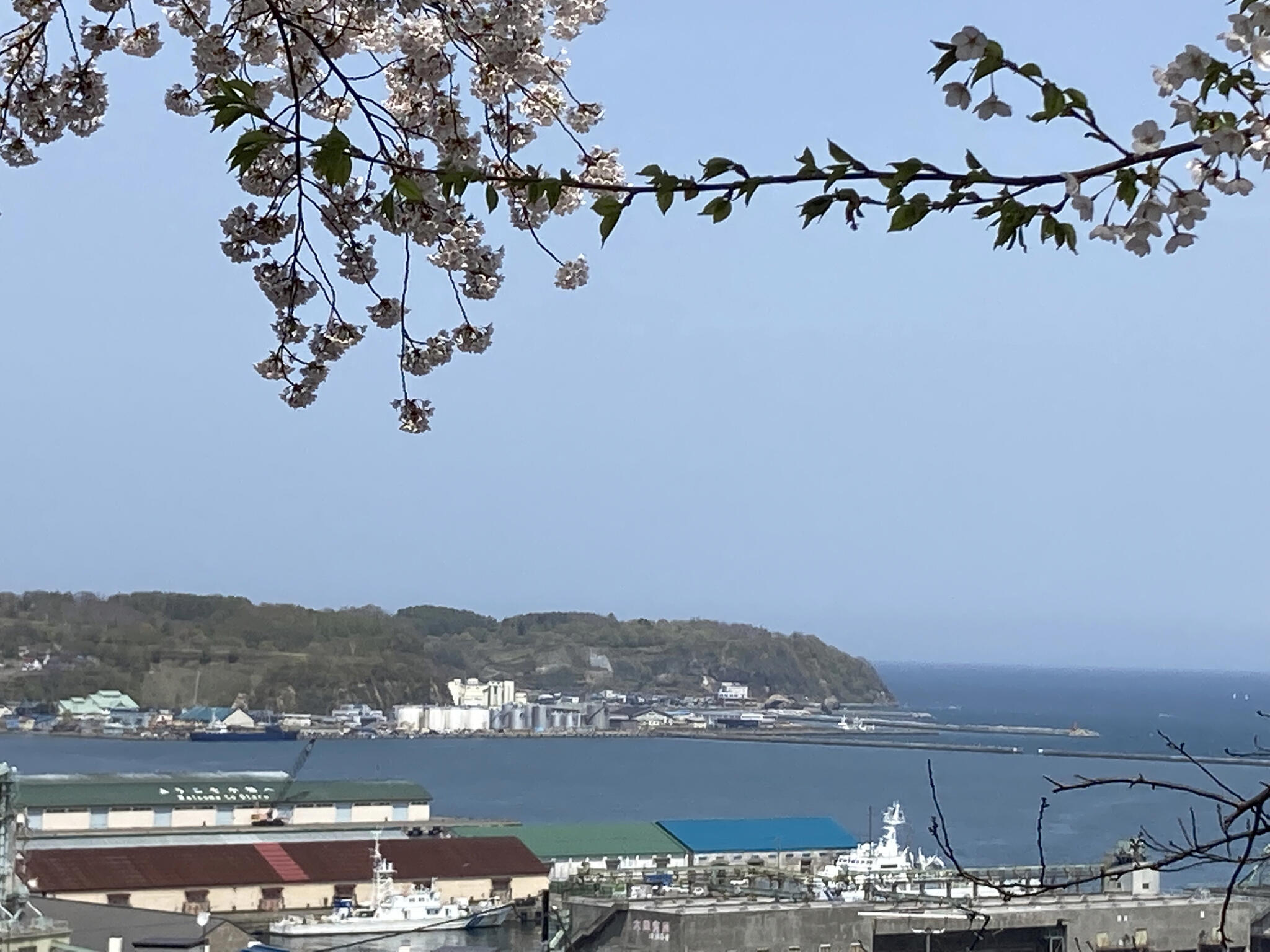 水天宮の代表写真2