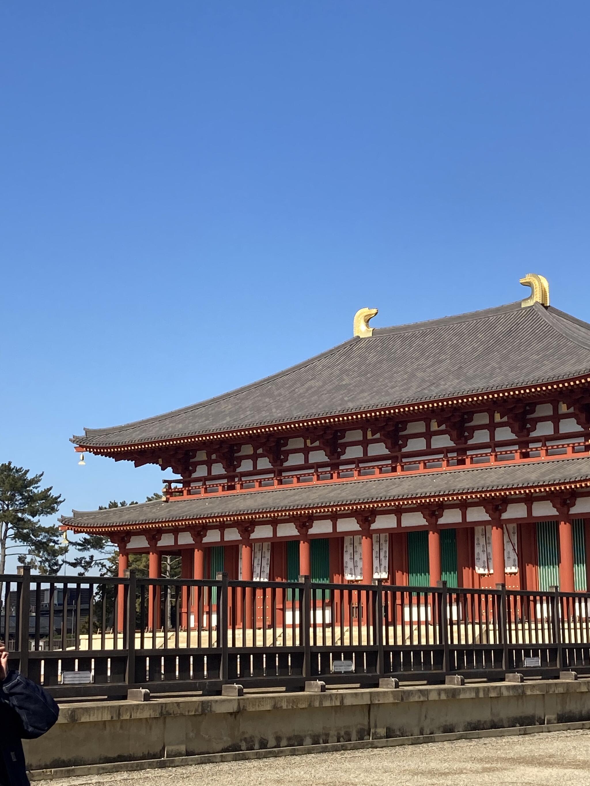 興福寺中金堂の代表写真4