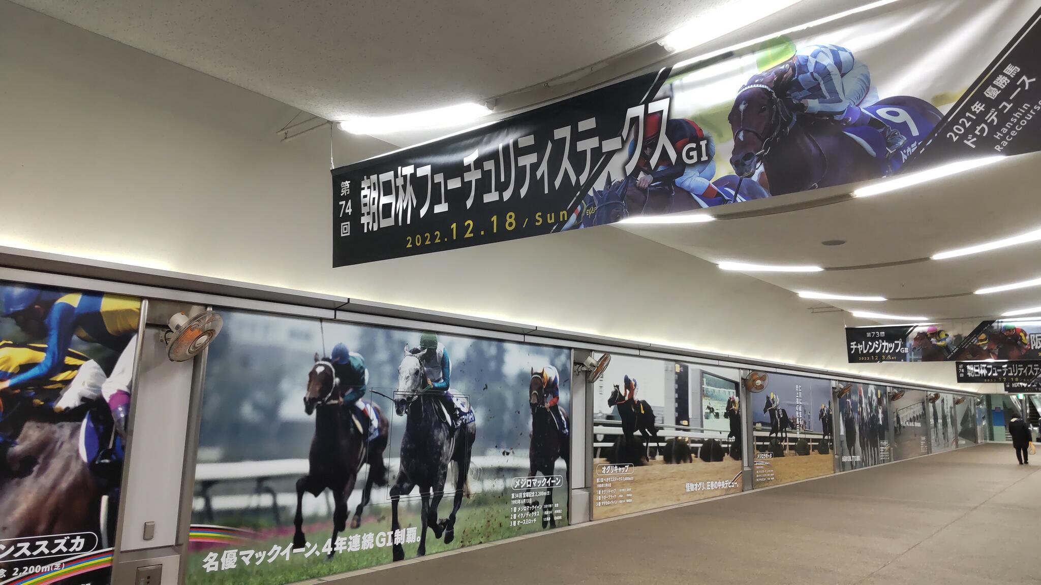 JRA 阪神競馬場の代表写真4