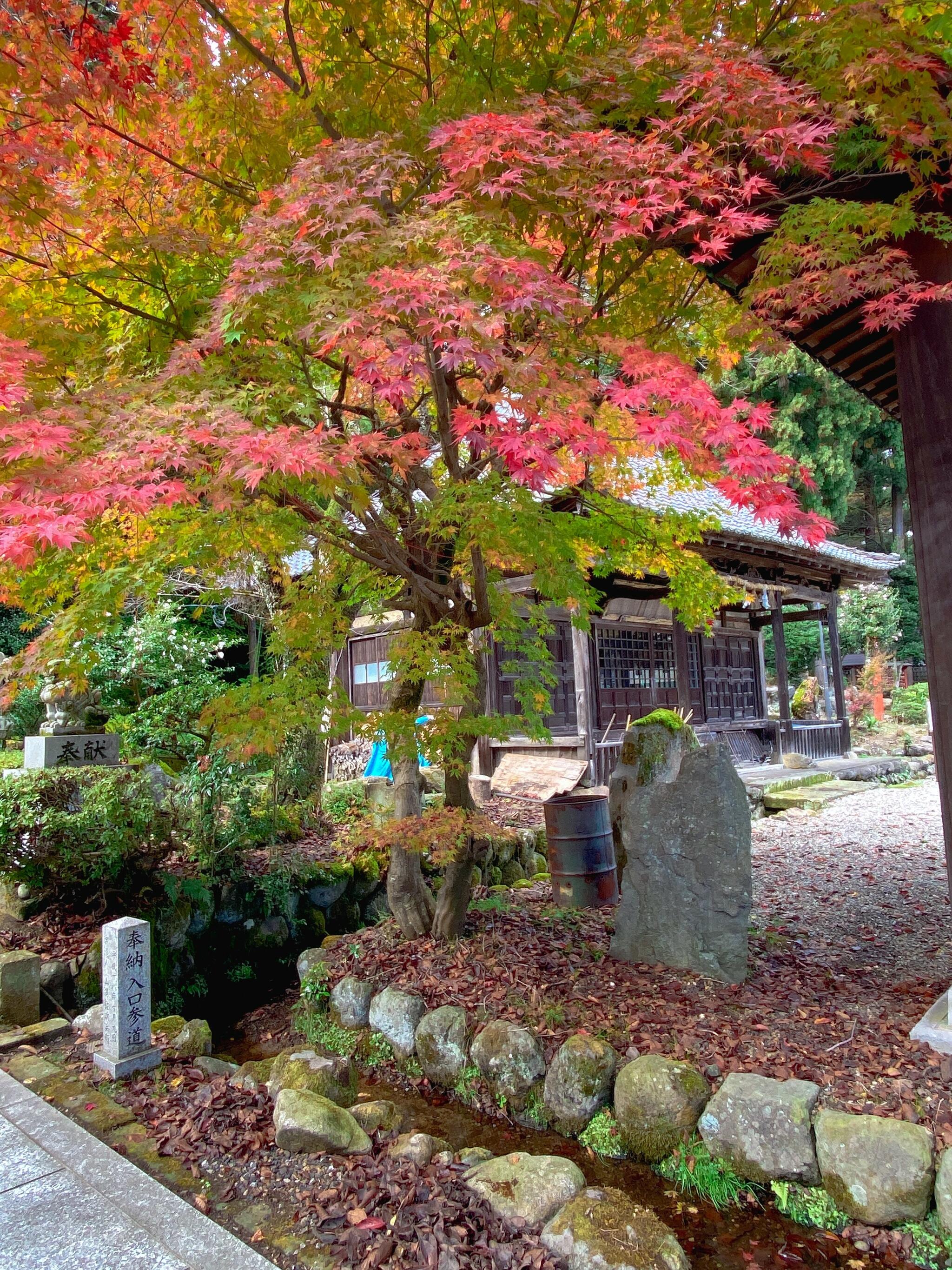 劔神社の代表写真5