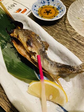 小川の魚のクチコミ写真3
