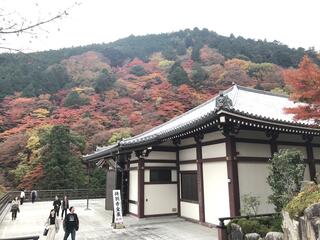 善峯寺のクチコミ写真1