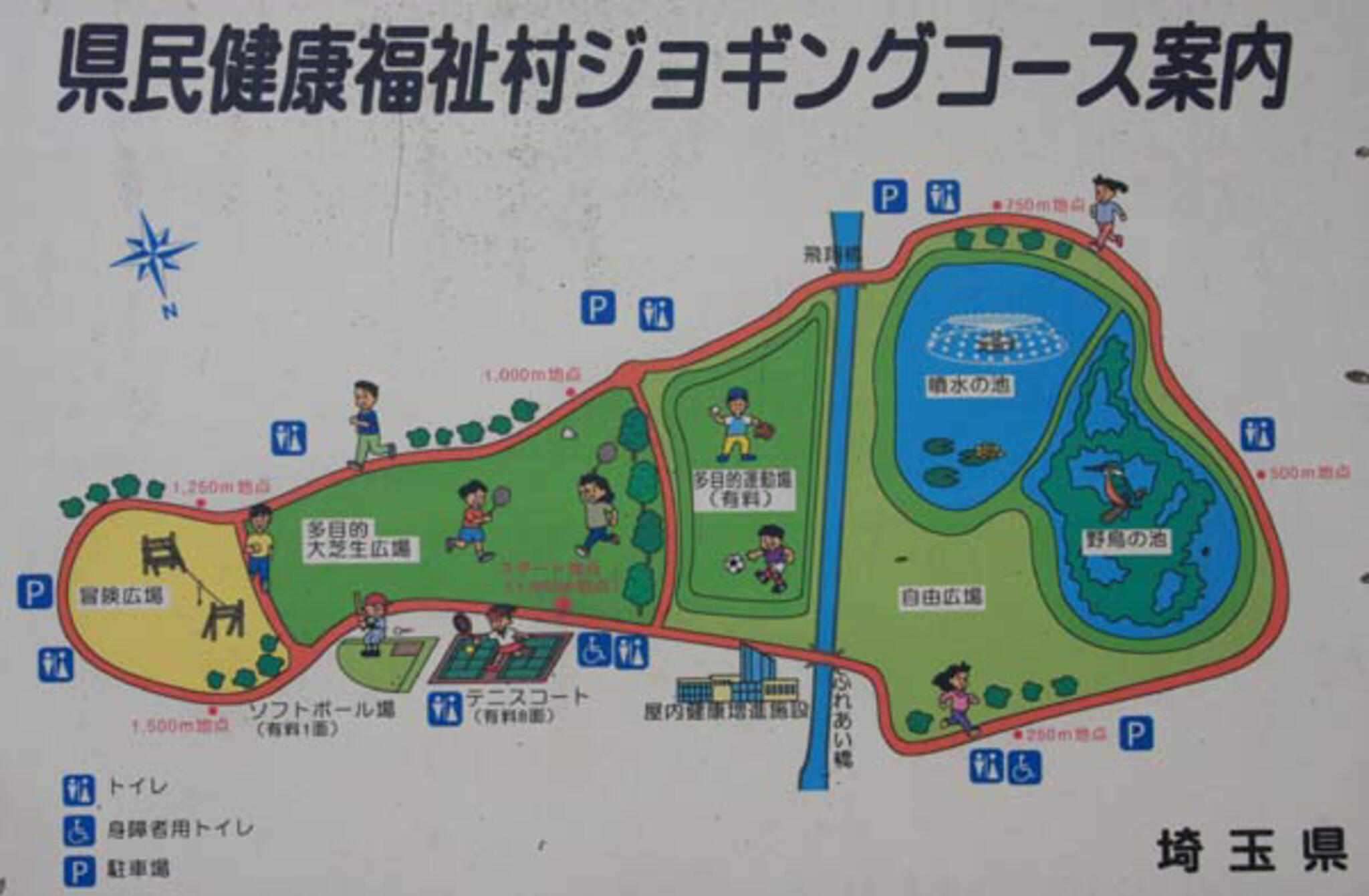 埼玉県民健康福祉村ジョギングコースの代表写真9