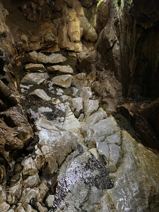 千仏鍾乳洞のクチコミ写真1