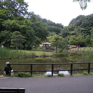 久良岐公園の写真8