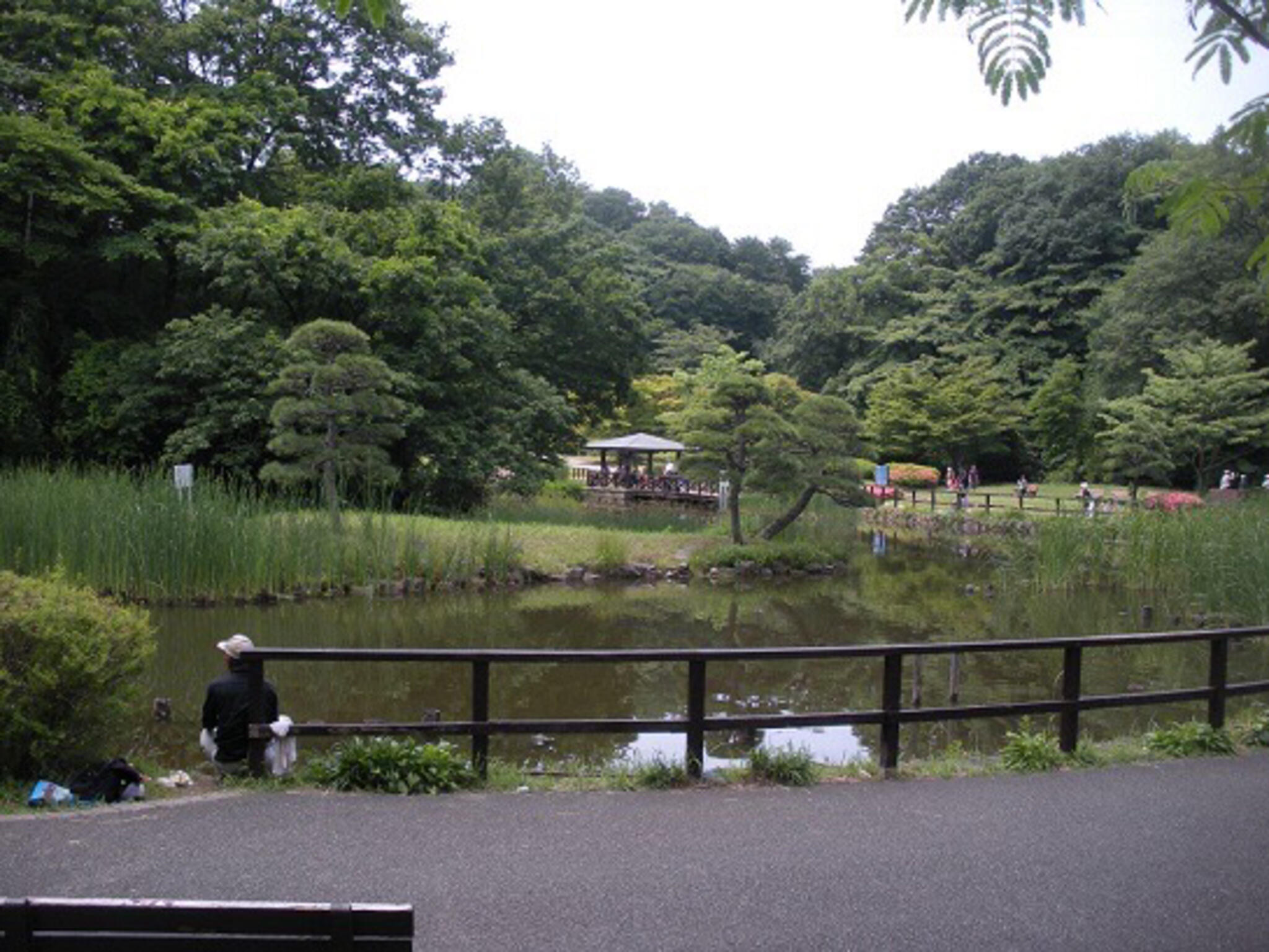 久良岐公園の代表写真8