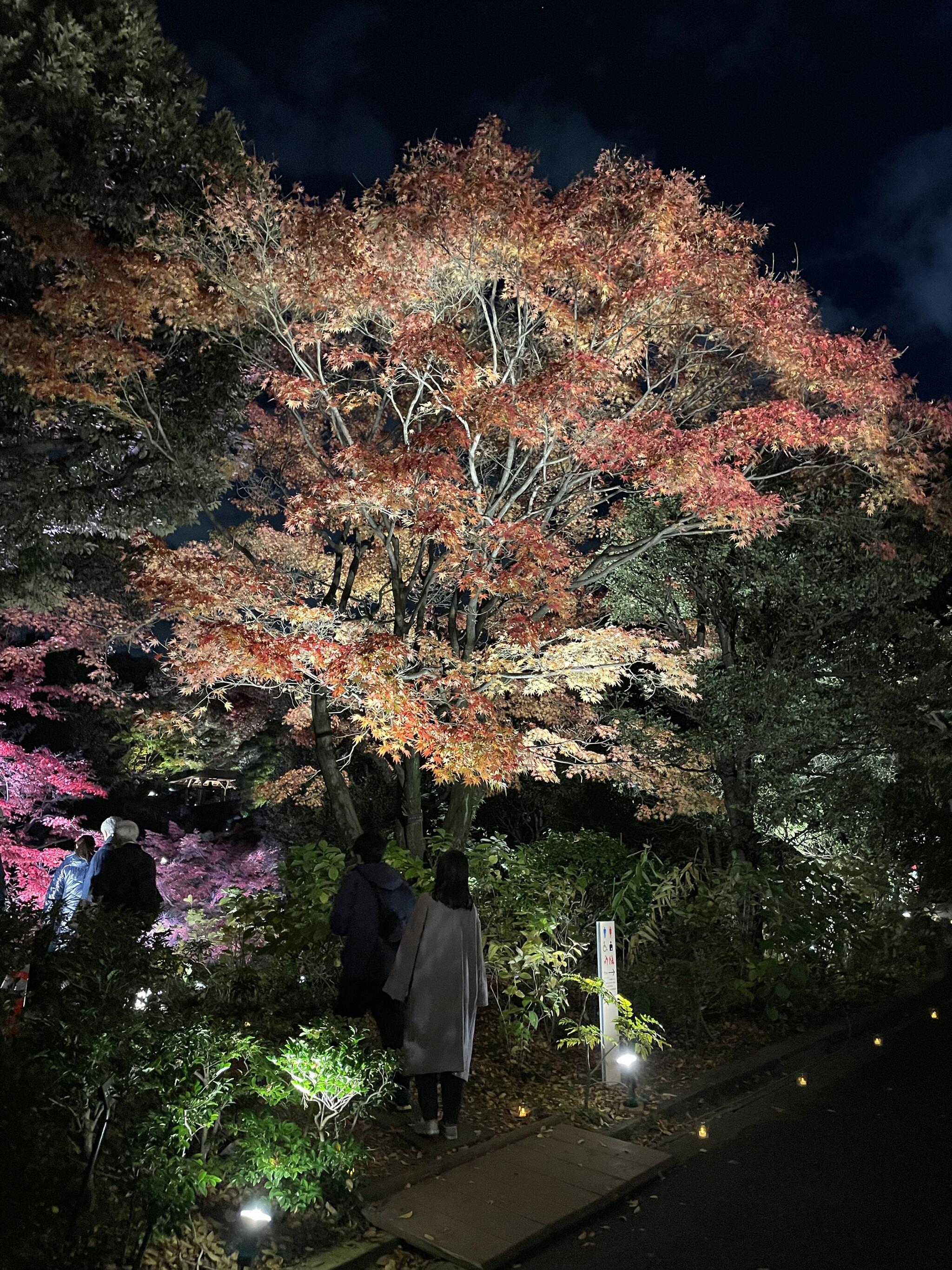 池田山公園の代表写真3