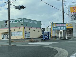 コレクション ペット愛ランド早出町店 静岡県浜松市