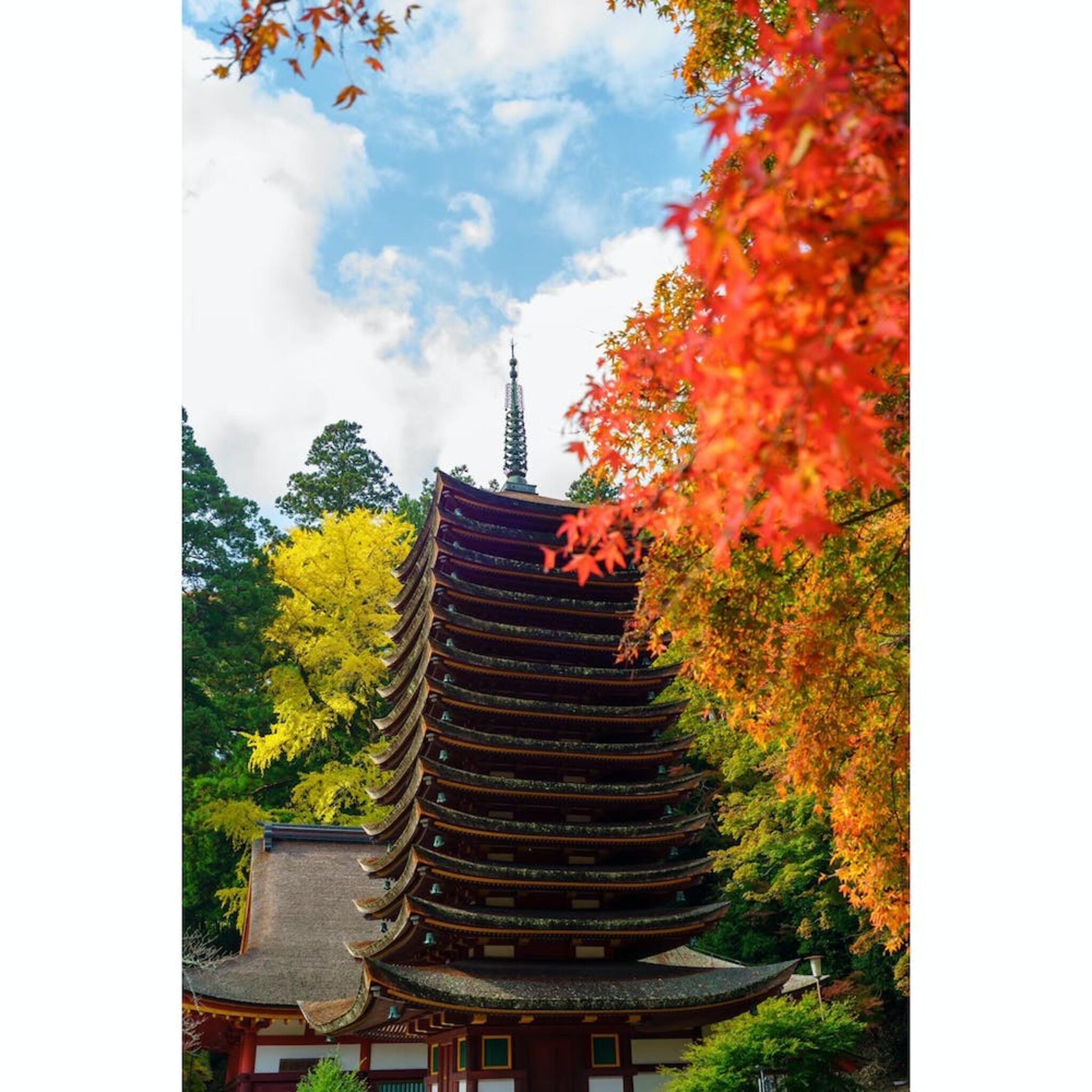 談山神社の代表写真3