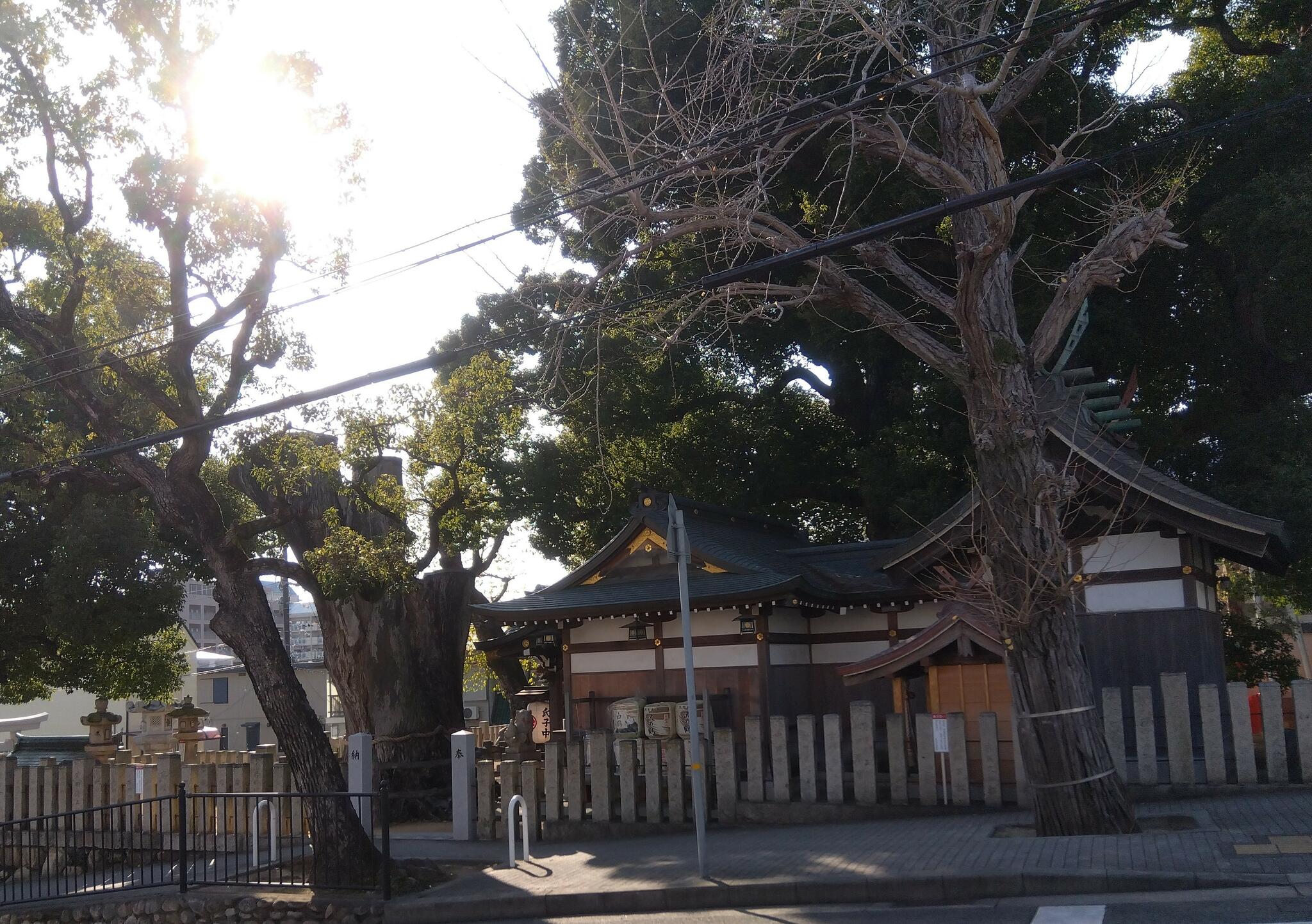 春日神社の代表写真7