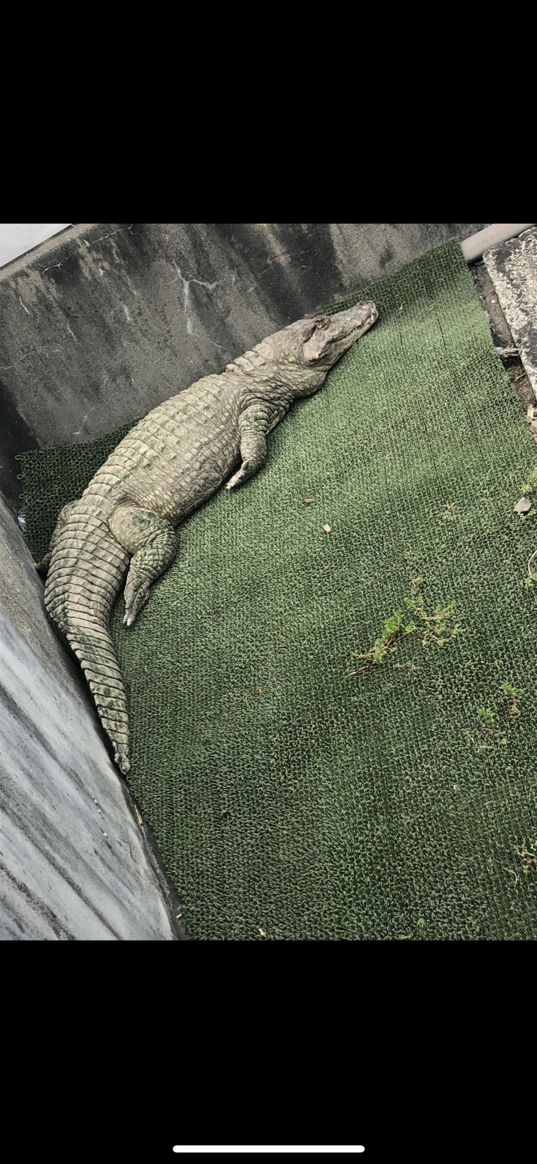 鬼山地獄の代表写真5