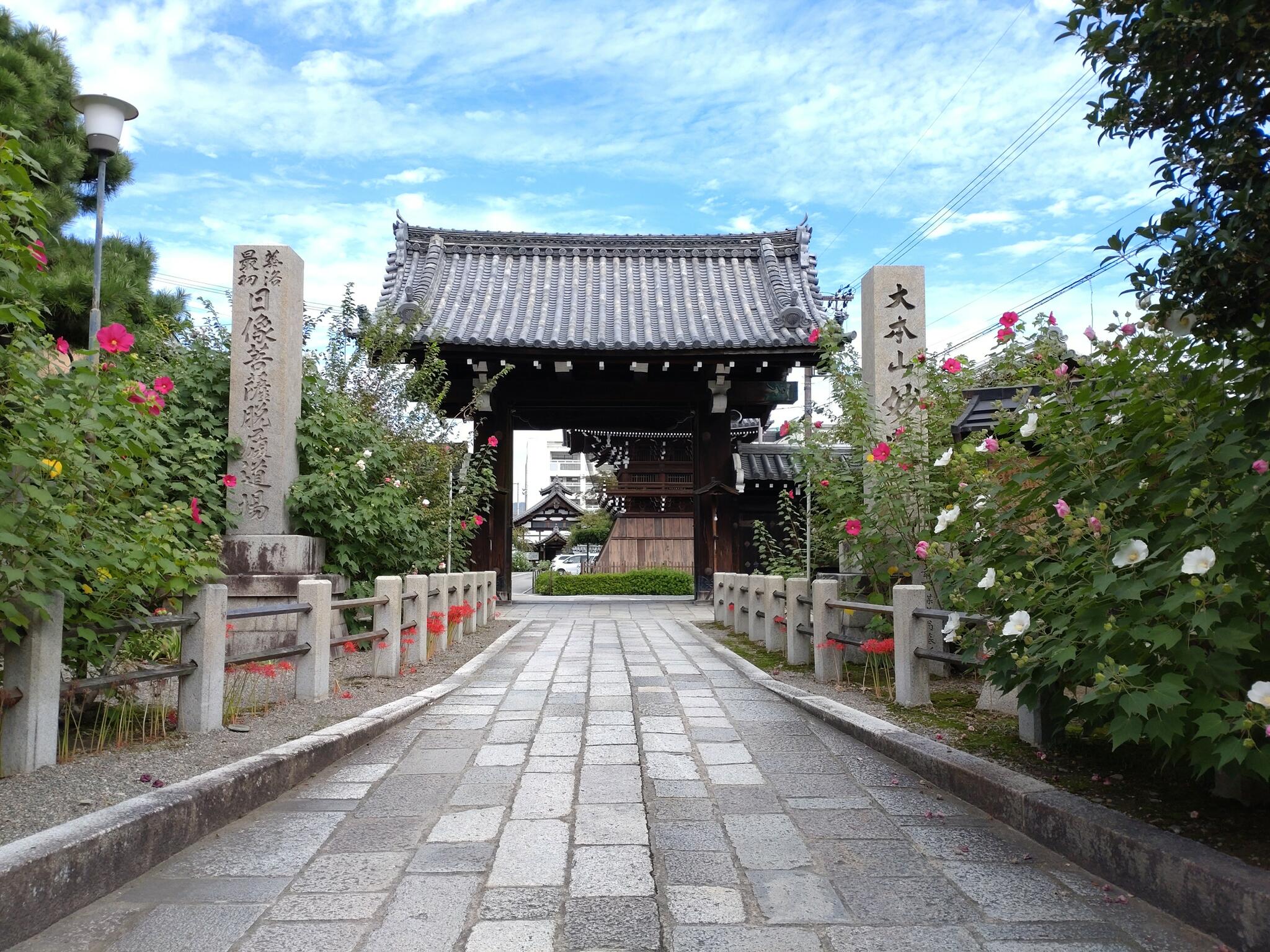 妙蓮寺の代表写真4