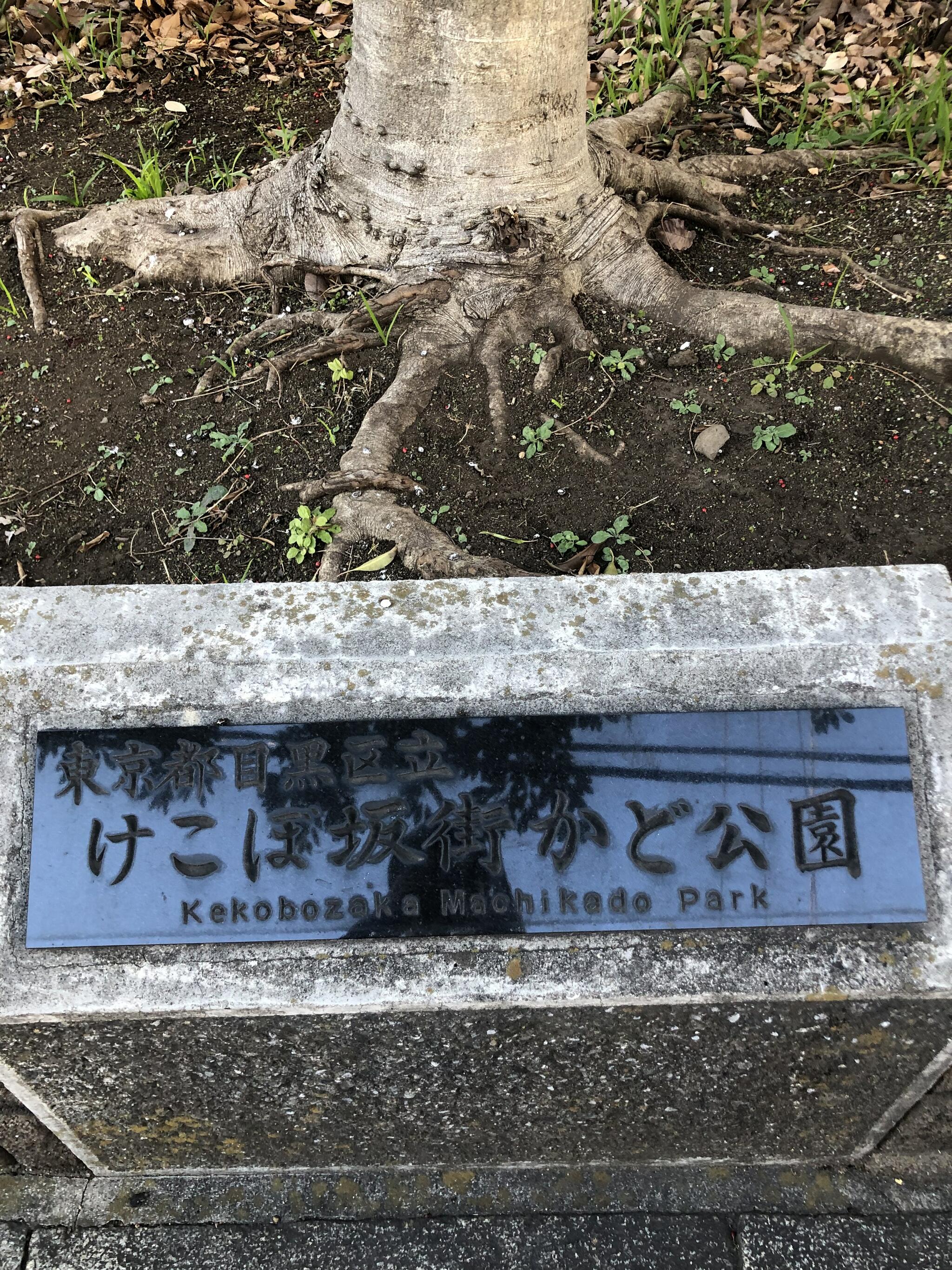 けこぼ坂街かど公園の代表写真10