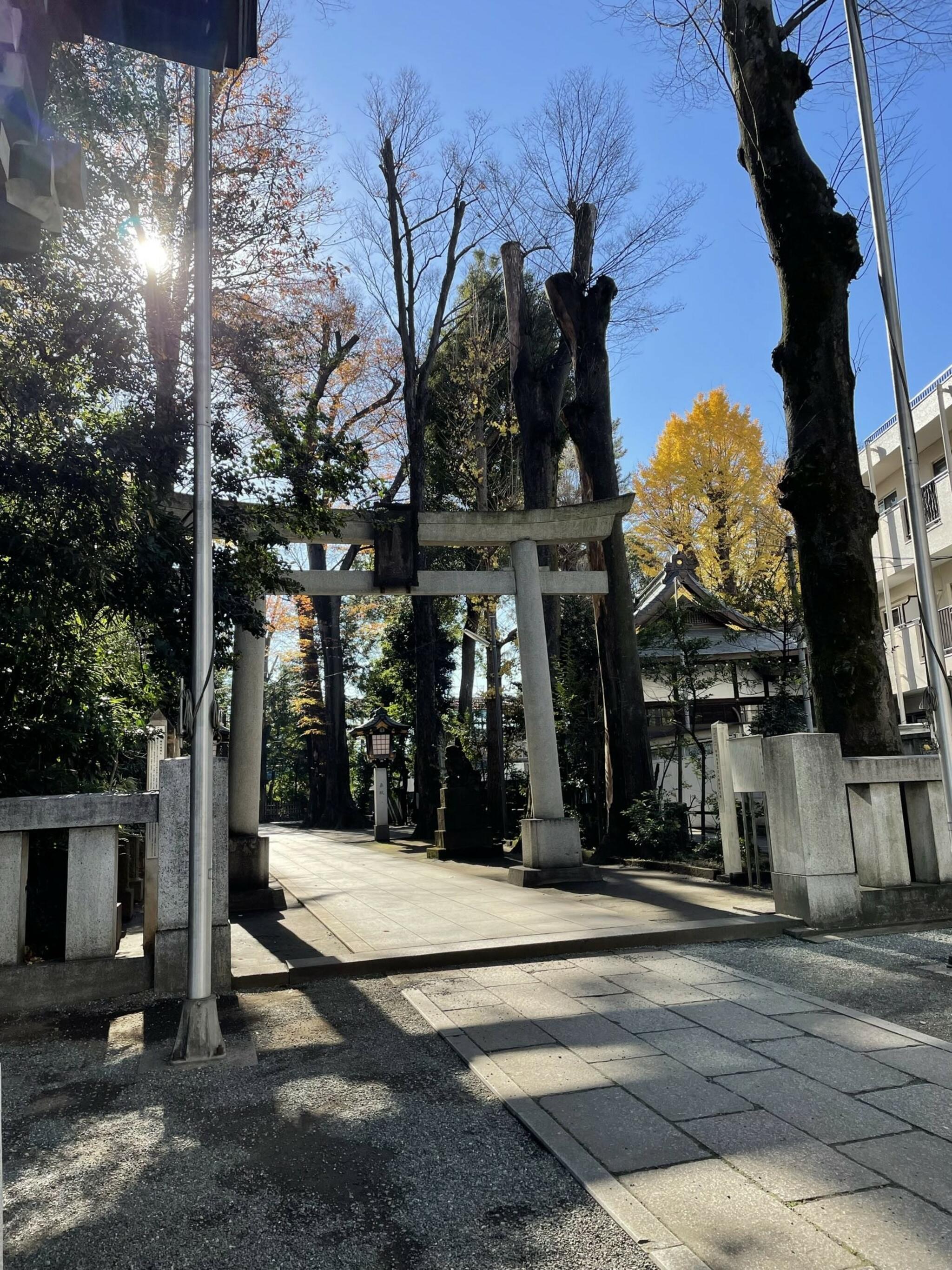 荻窪八幡神社の代表写真2
