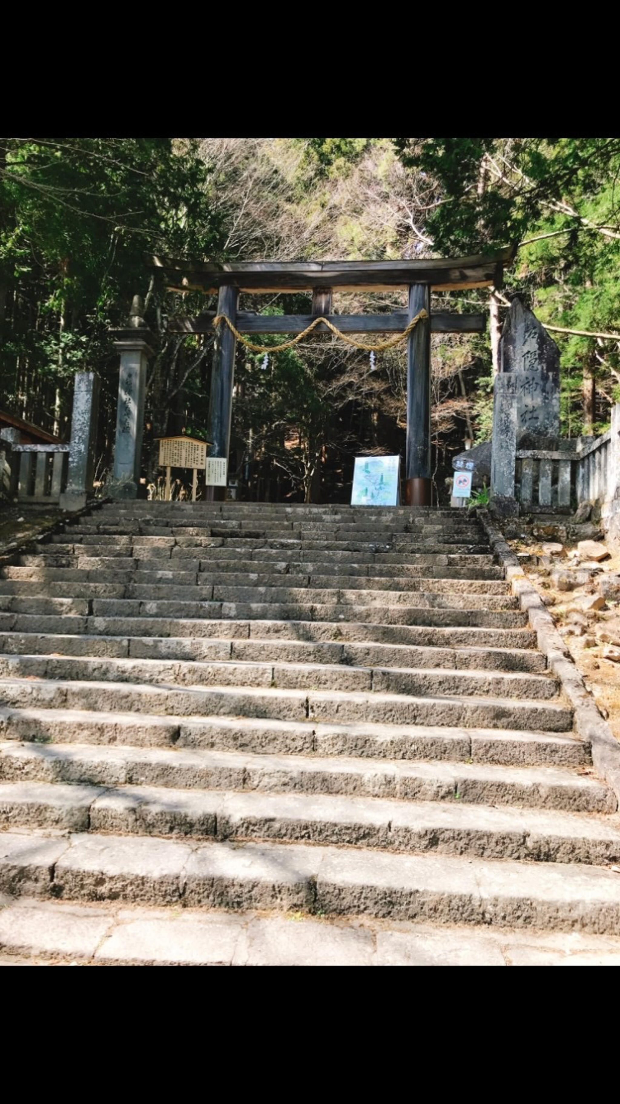 戸隠神社の代表写真7