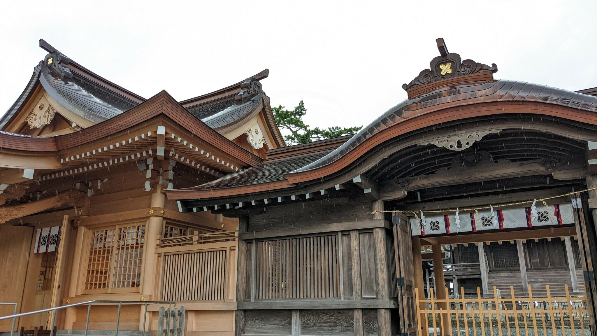 阿蘇神社の代表写真5
