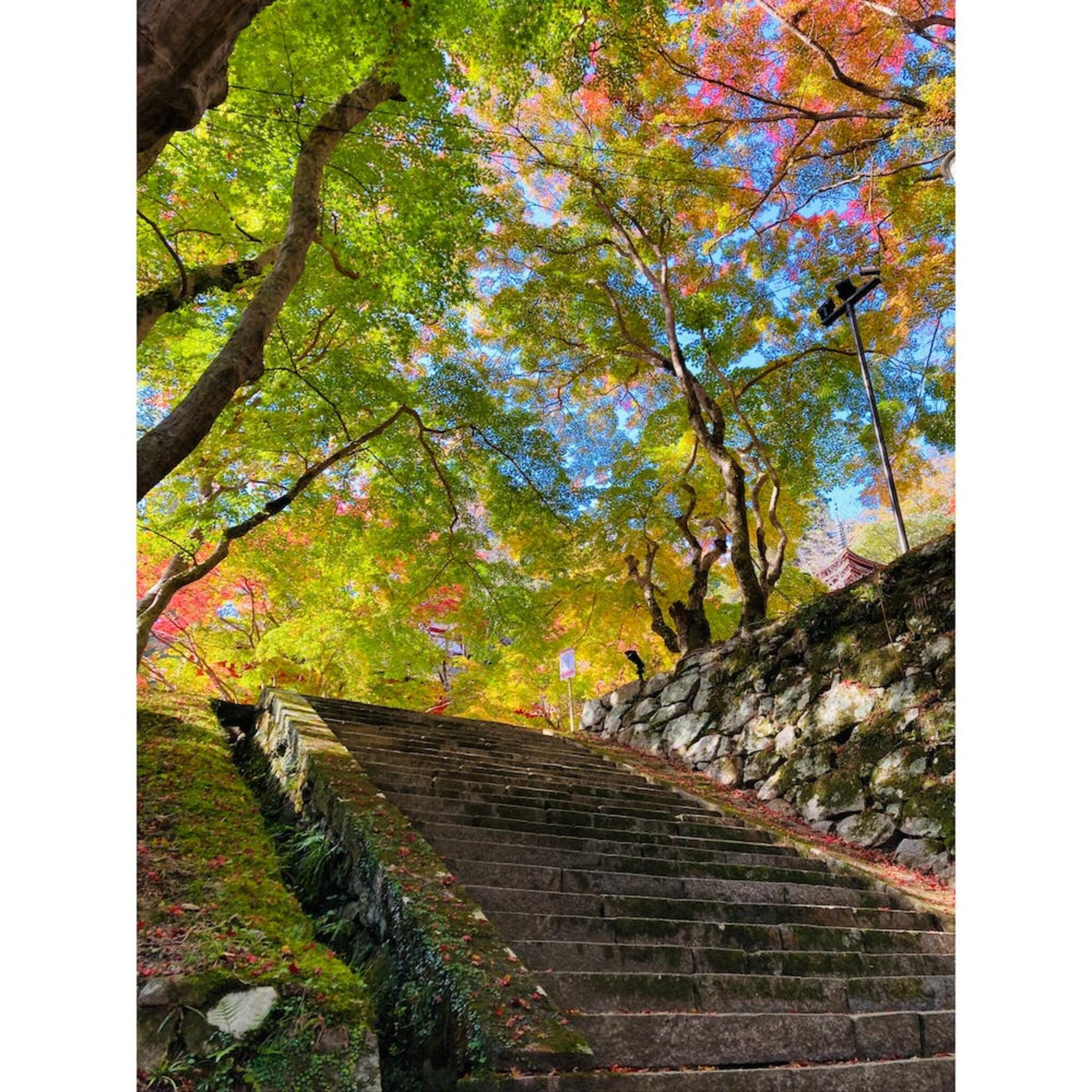 談山神社の代表写真10