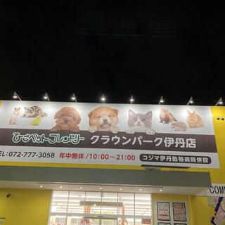 ひご ペット ストア 伊丹 店 広告