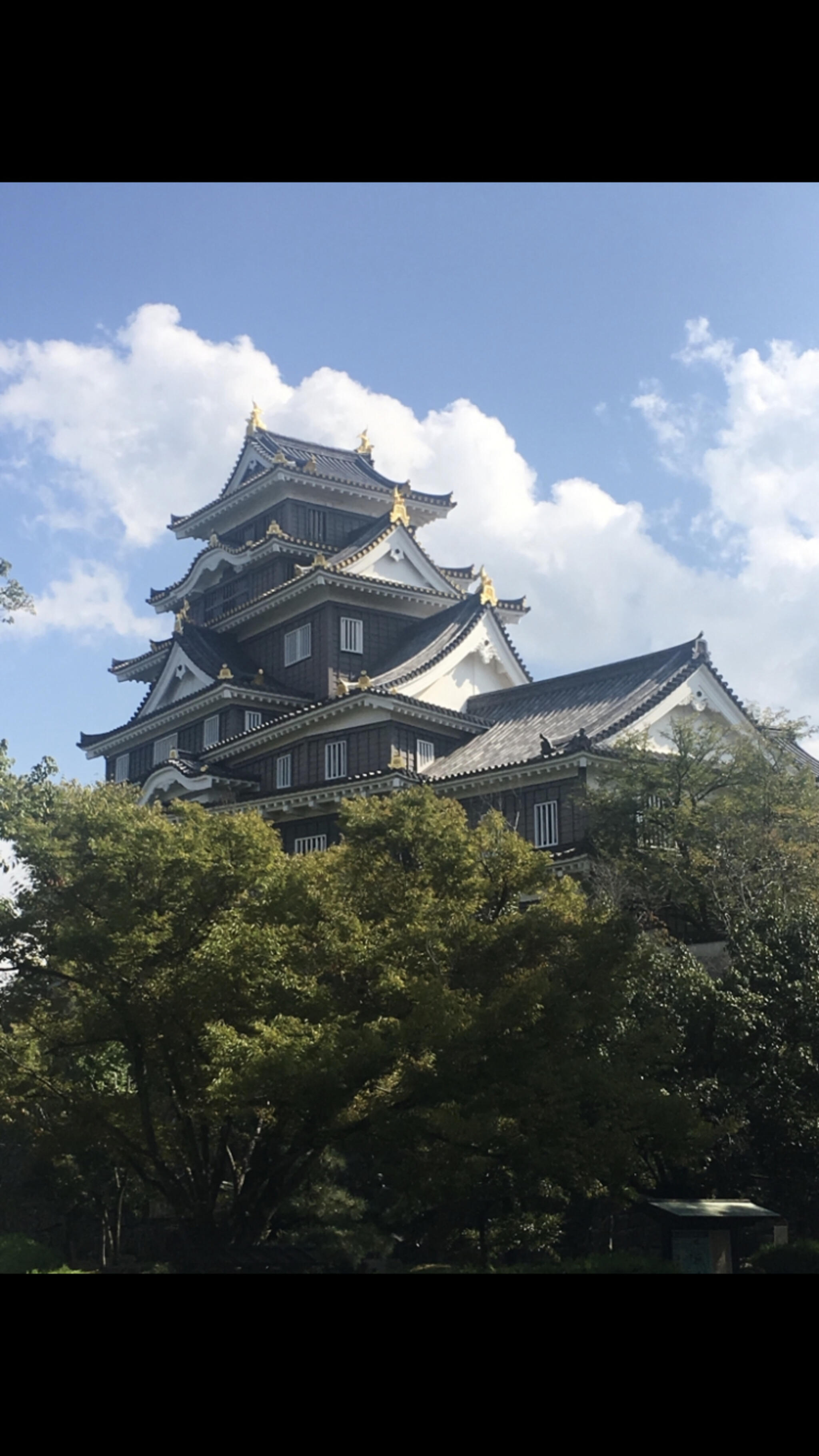 岡山城の代表写真4