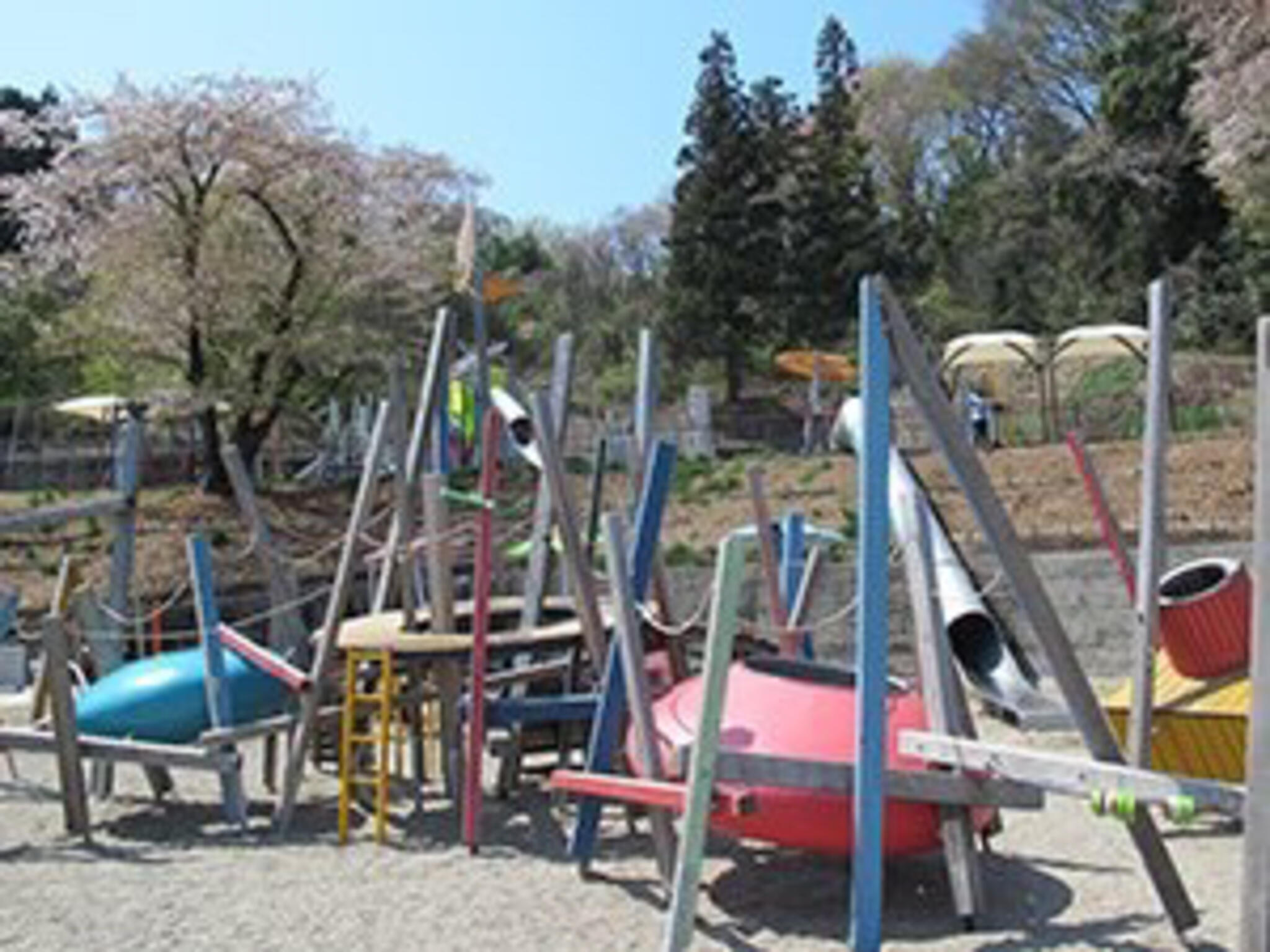 観音山公園の代表写真2