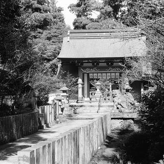 佛山寺の写真1