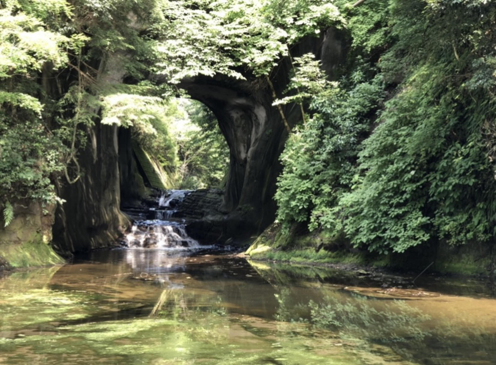 亀岩の洞窟の代表写真9