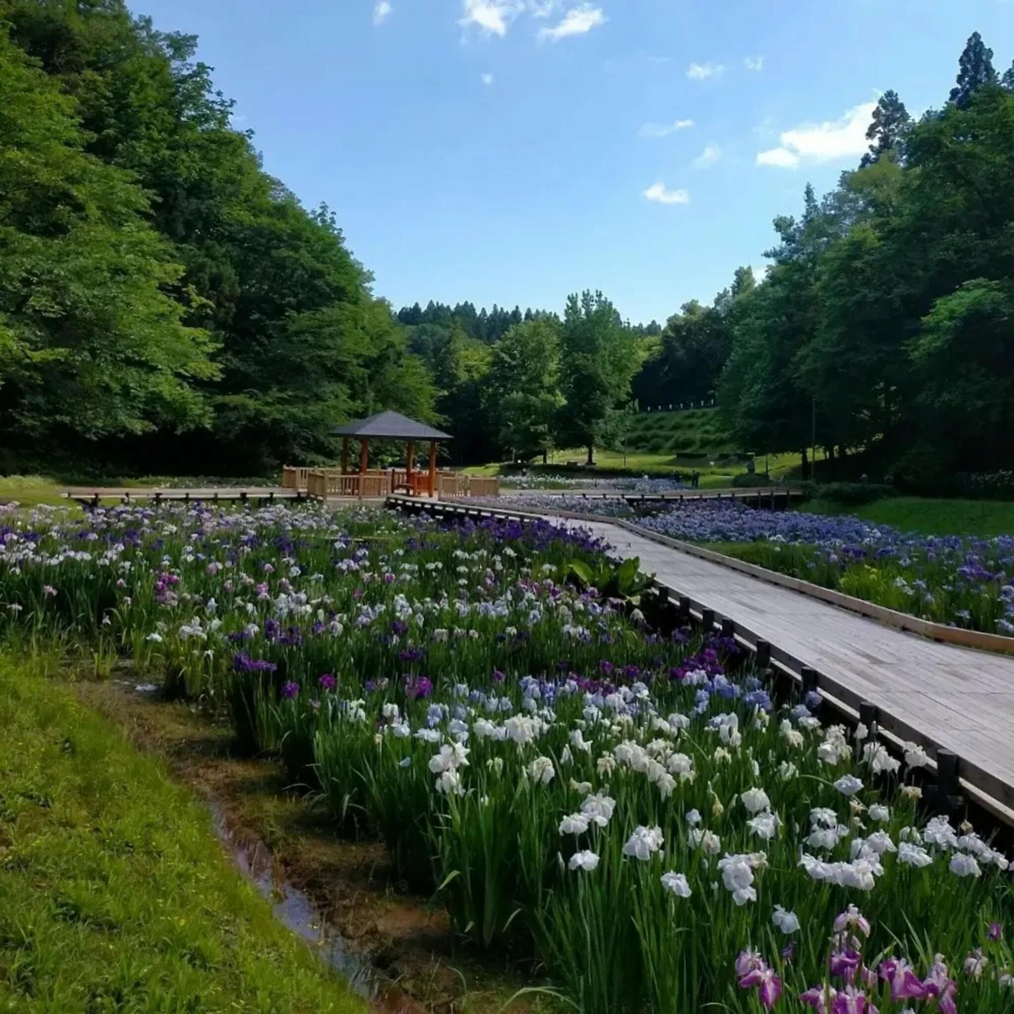 クチコミ : しらさぎ森林公園 - 三条市矢田公園 | Yahoo!マップ