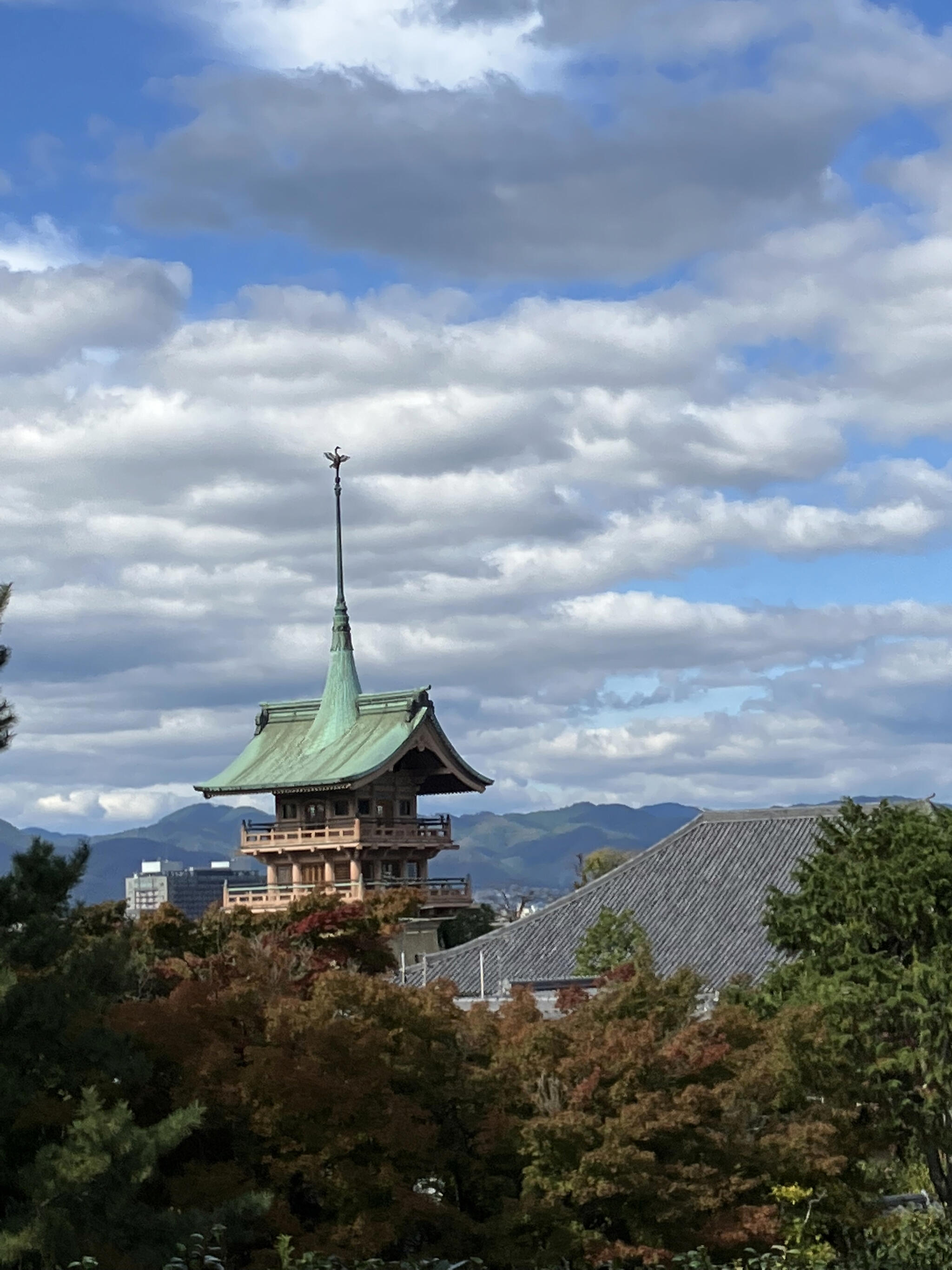 クチコミ : 龍池山大雲院 - 京都市東山区祇園町南側/寺院 | Yahoo!マップ