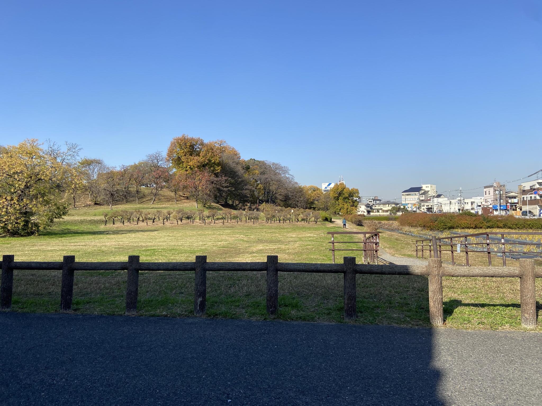 城山古墳史跡公園周濠花菖蒲園の代表写真2