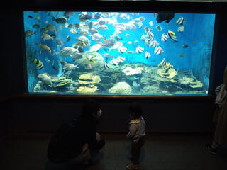 渋川マリン水族館のクチコミ写真1