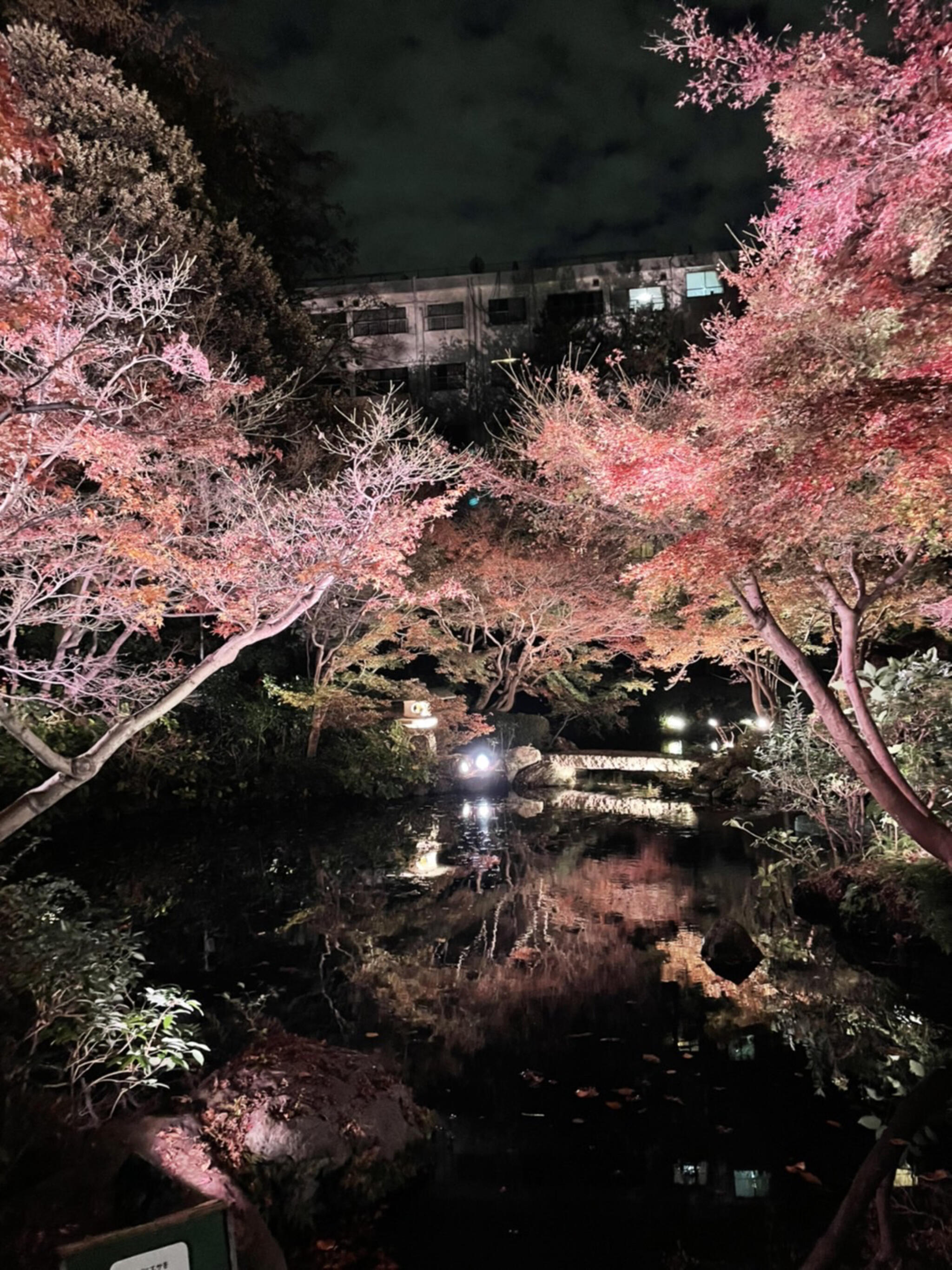 池田山公園の代表写真4