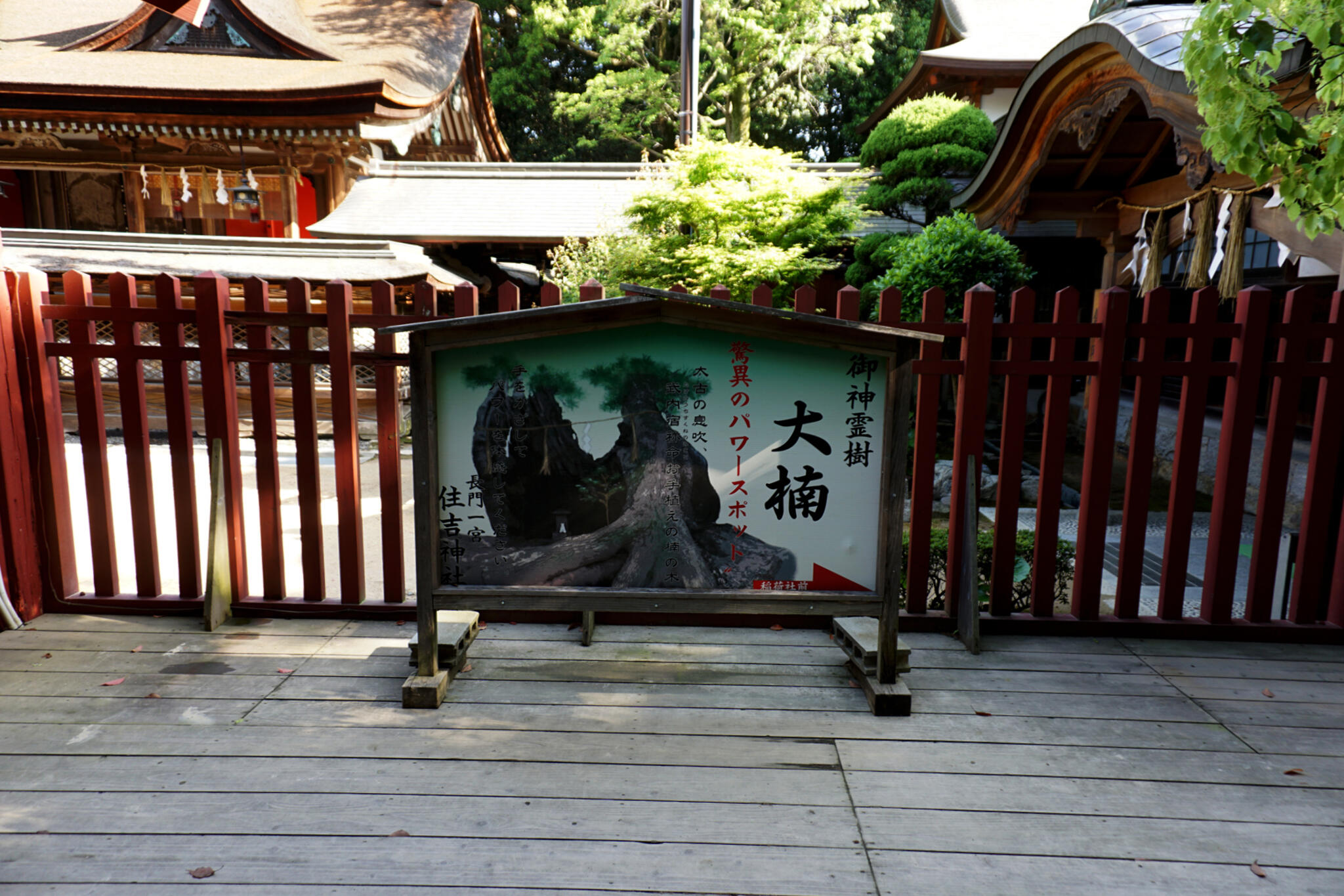 長門國一宮 住吉神社の代表写真4