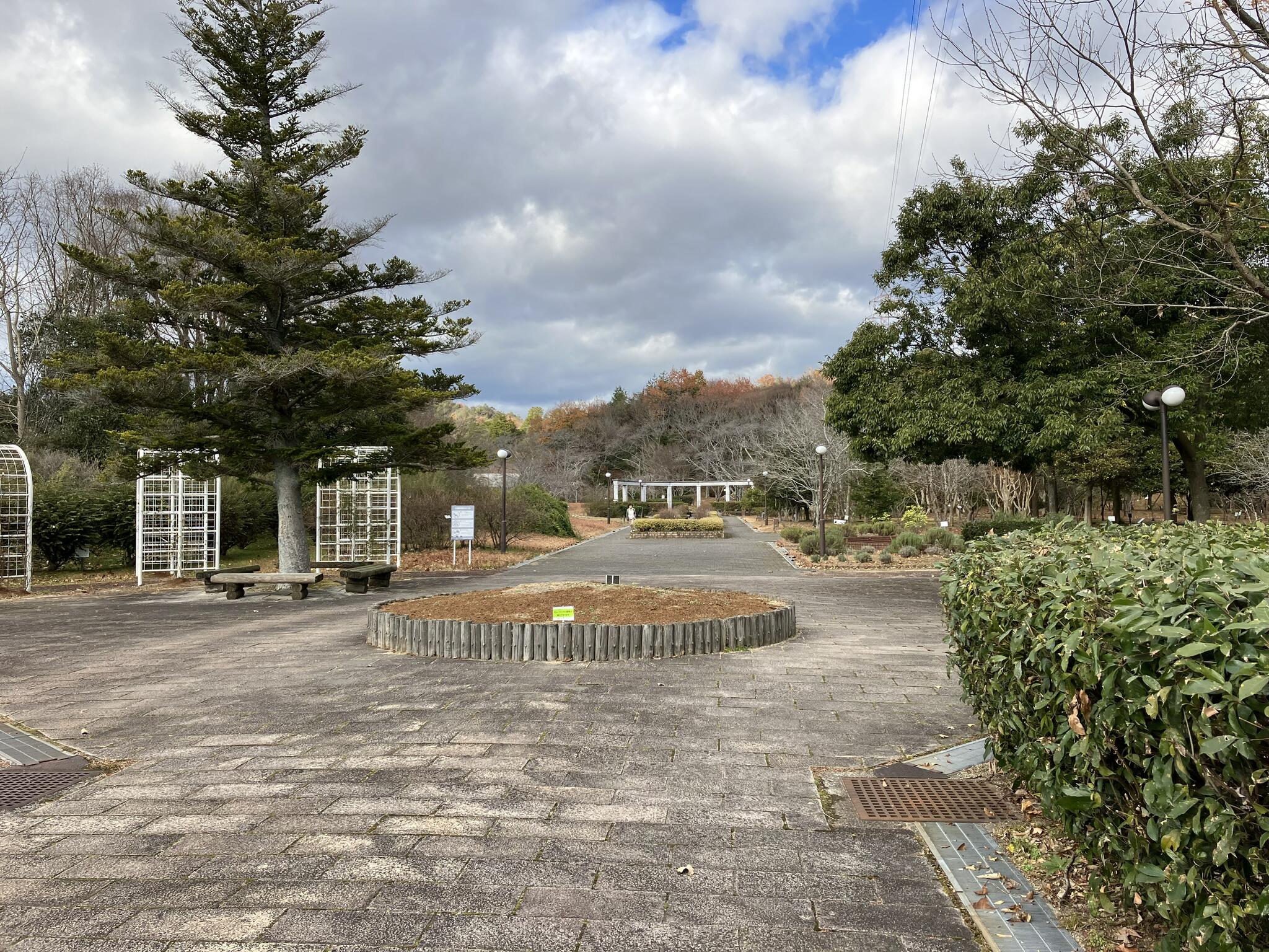 滋賀県立近江富士花緑公園の代表写真8