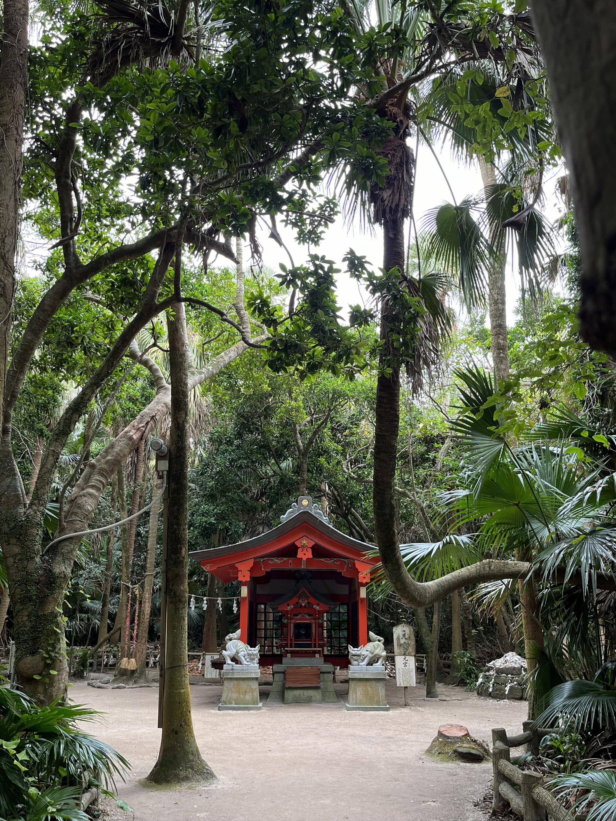 青島神社の代表写真1