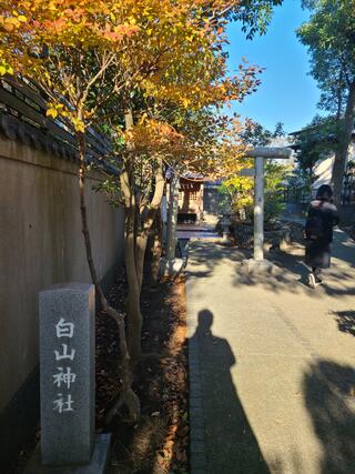 白山神社のクチコミ写真1