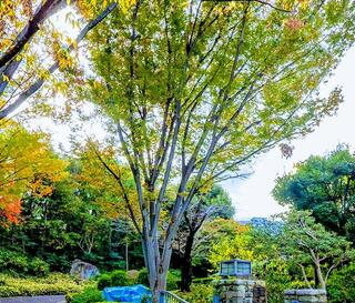 池田山公園のクチコミ写真1