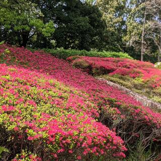 大阪府営 寝屋川公園の写真11