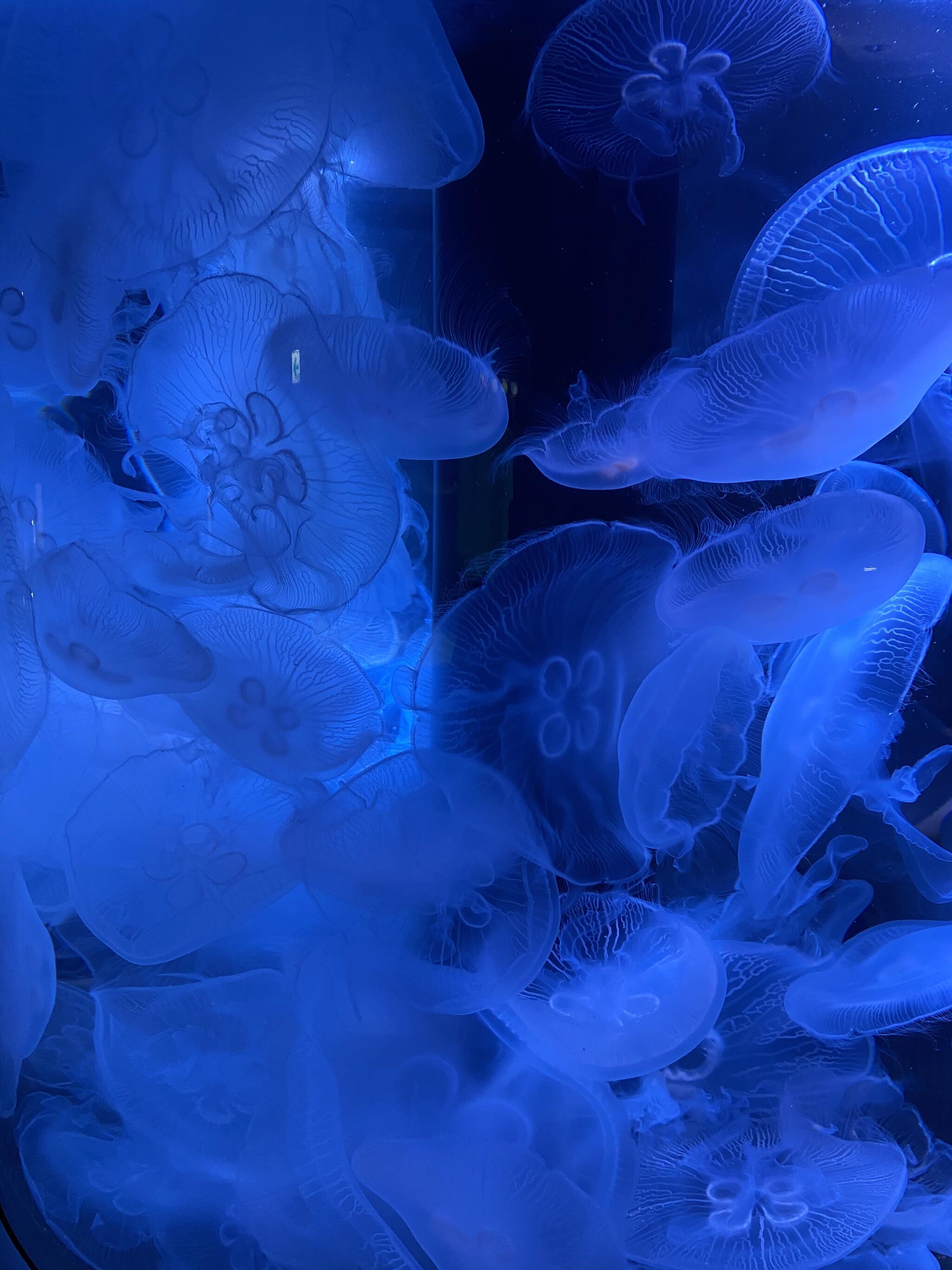 新潟市水族館 マリンピア日本海の代表写真2