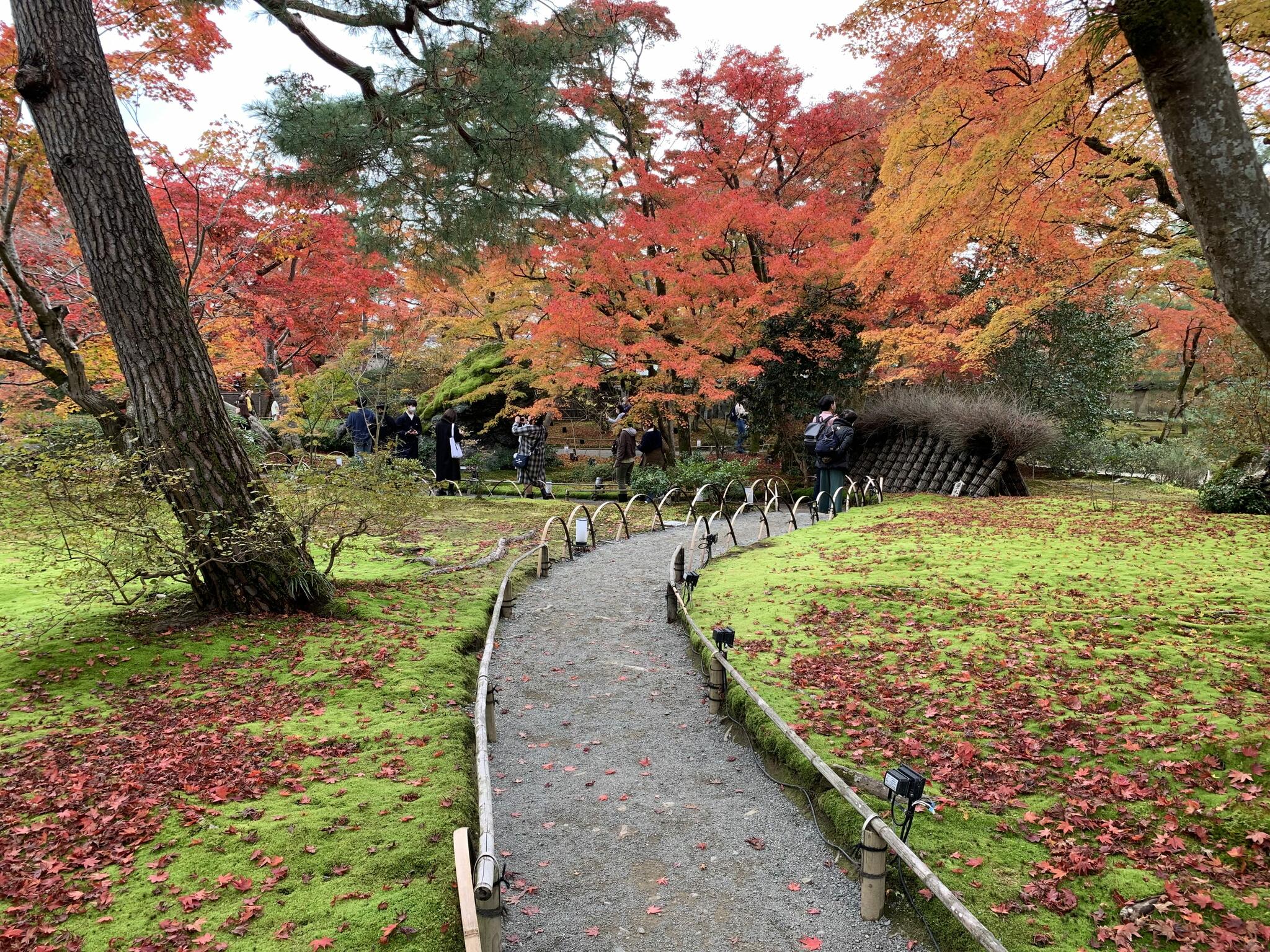 弘源寺の代表写真10