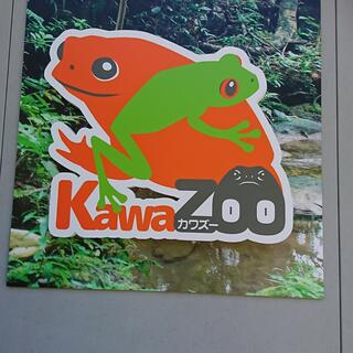 体感型カエル館 KawaZooの写真29