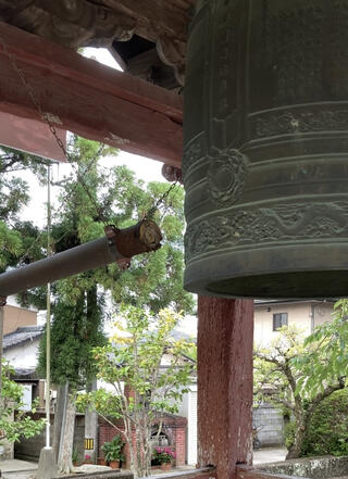 金泉寺のクチコミ写真1