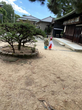 弓弦羽神社のクチコミ写真1
