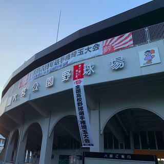 埼玉県営大宮公園野球場の写真22