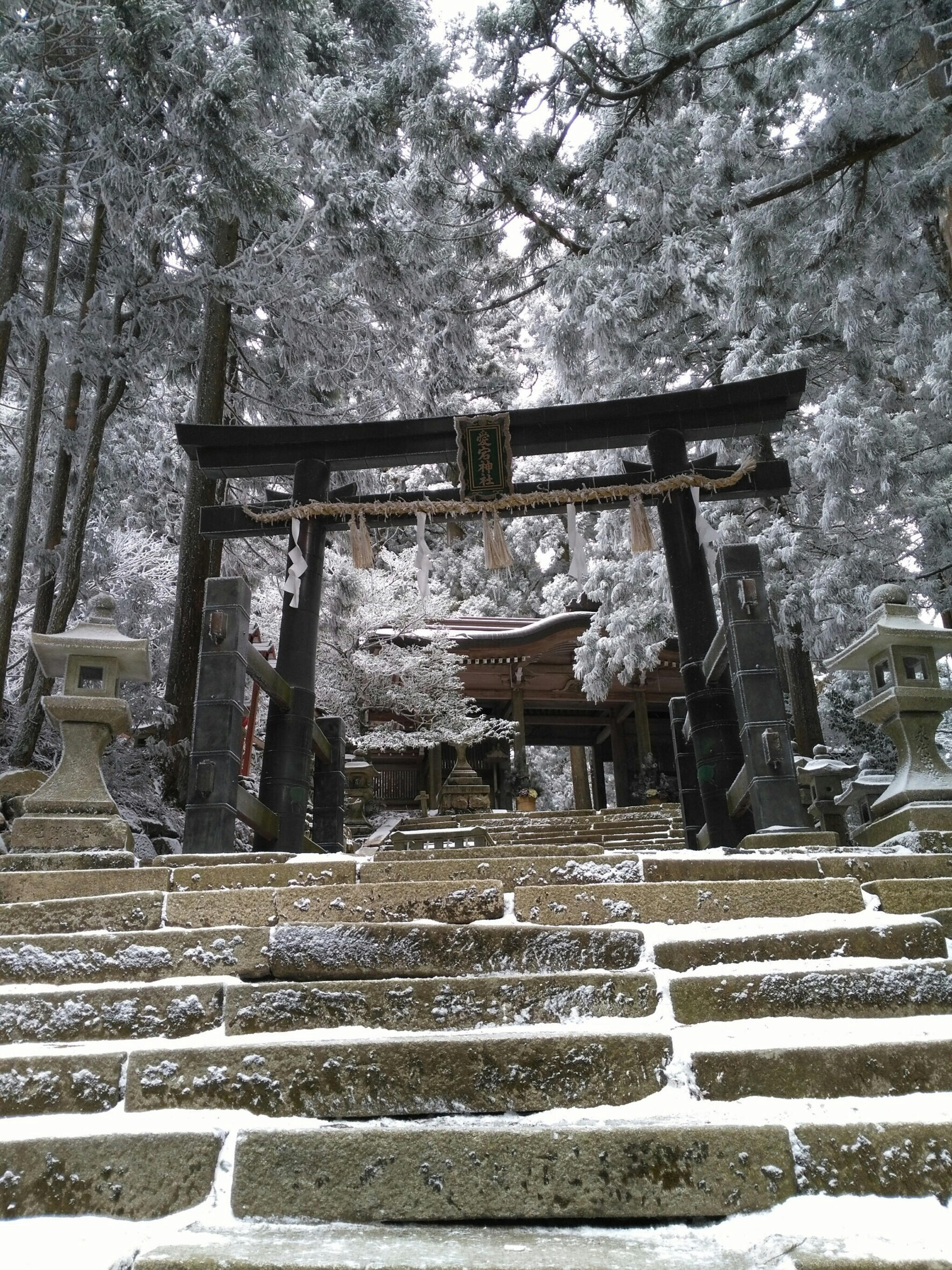 愛宕神社の代表写真4