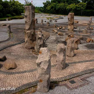 西条運動公園の写真1