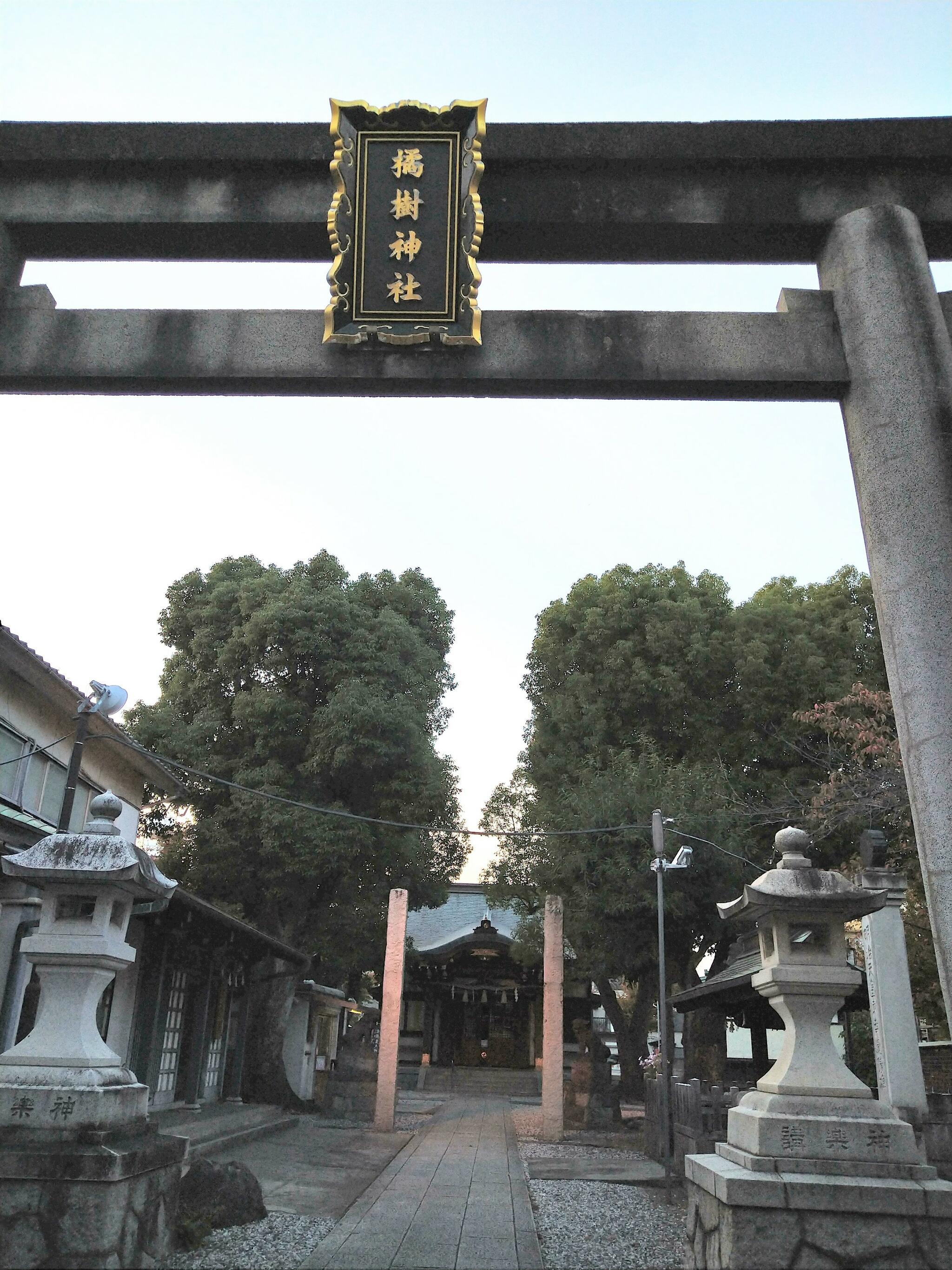 橘樹神社の代表写真6