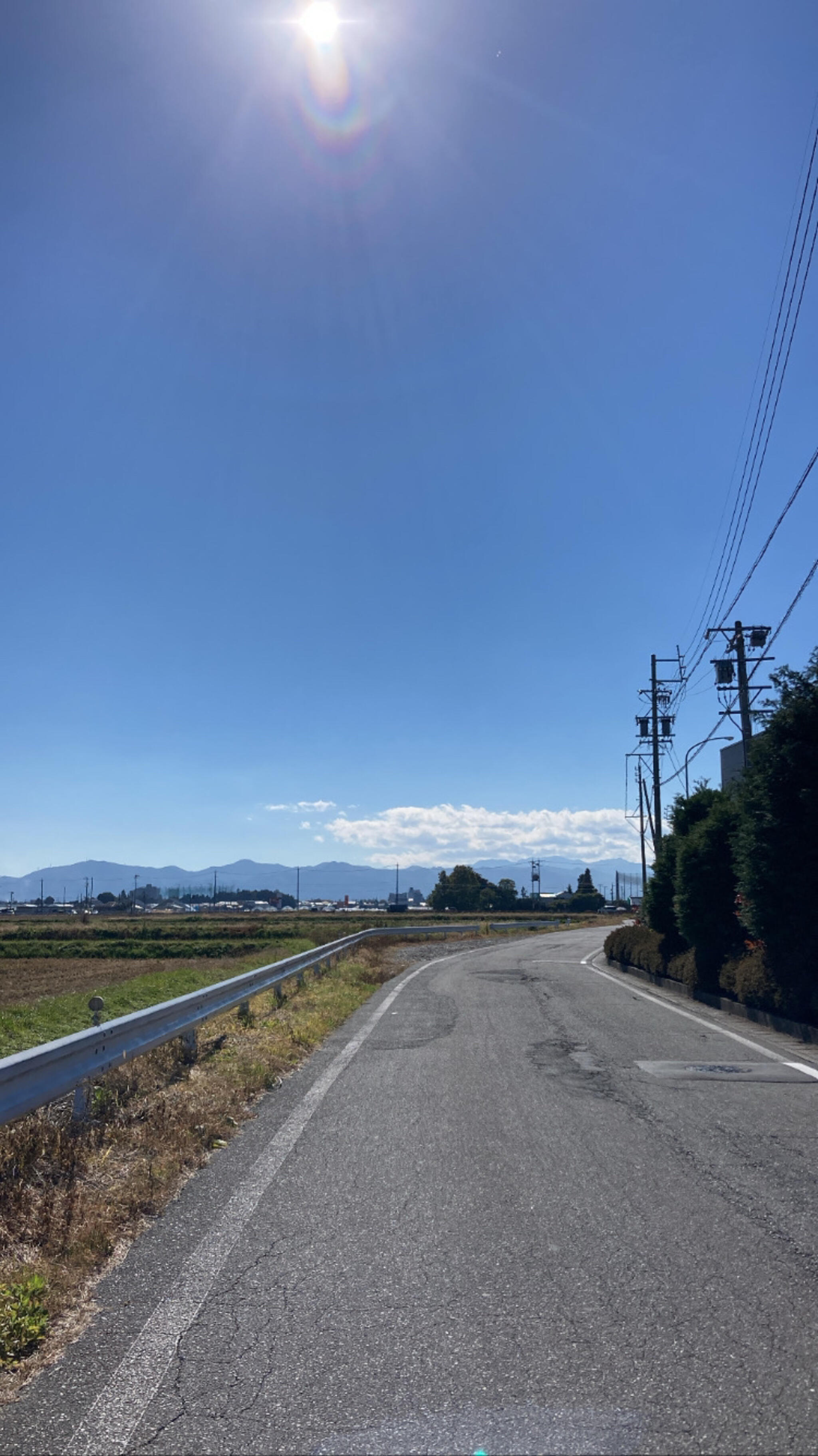 松本市城山公園の代表写真3