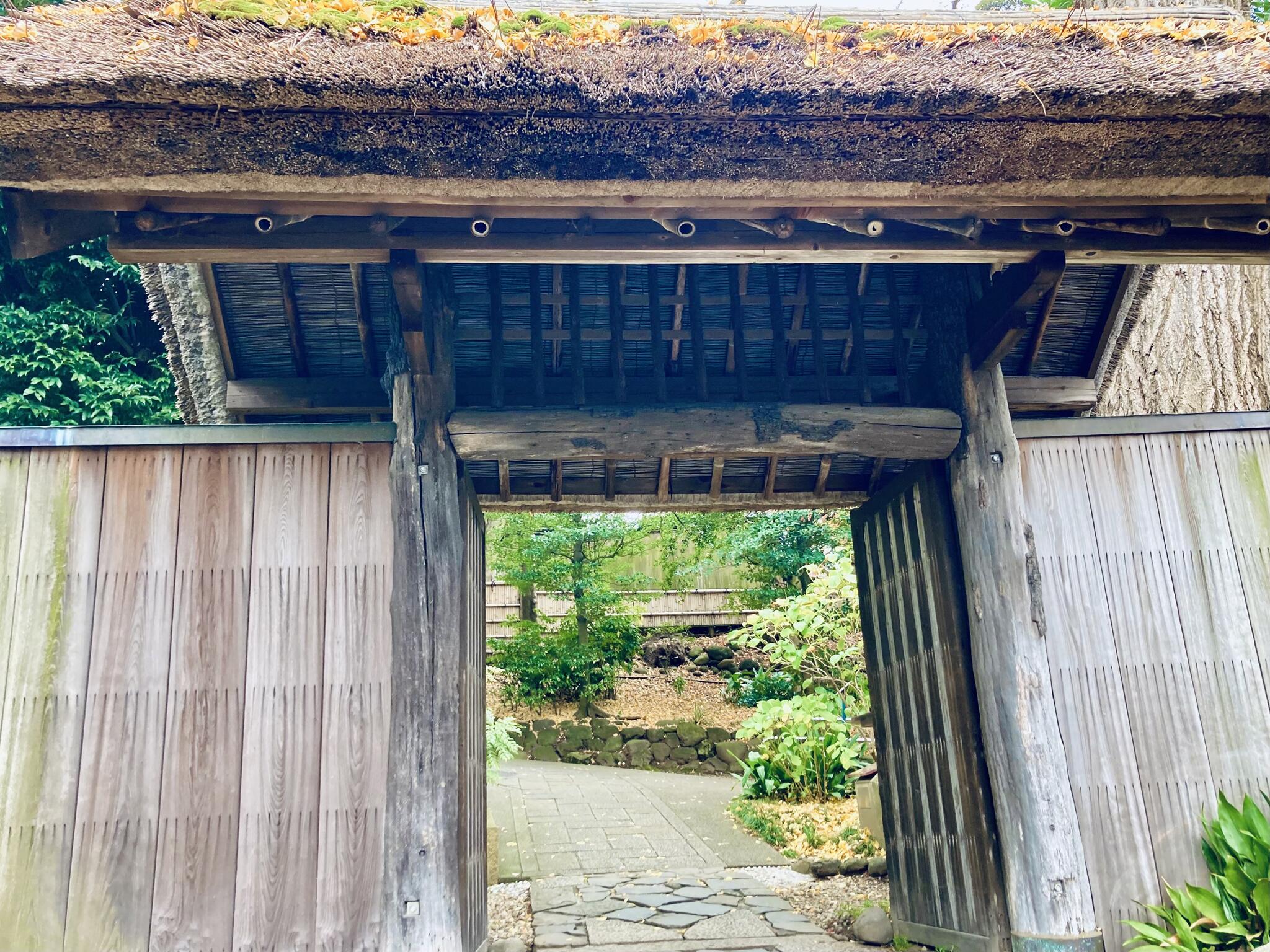 戸定が丘歴史公園の代表写真1